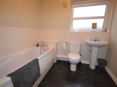 Picture 13